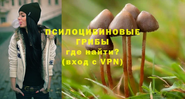 ешки Алексеевка