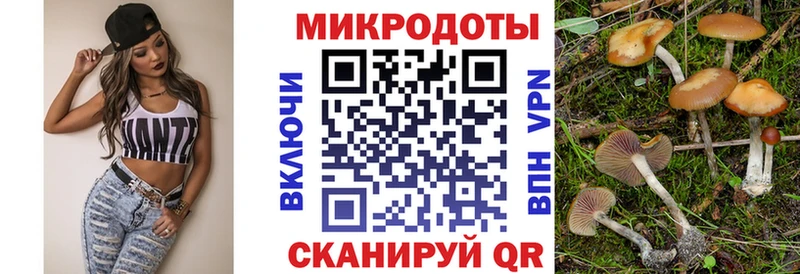 Псилоцибиновые грибы мицелий  дарнет шоп  блэк спрут ТОР  Пикалёво 